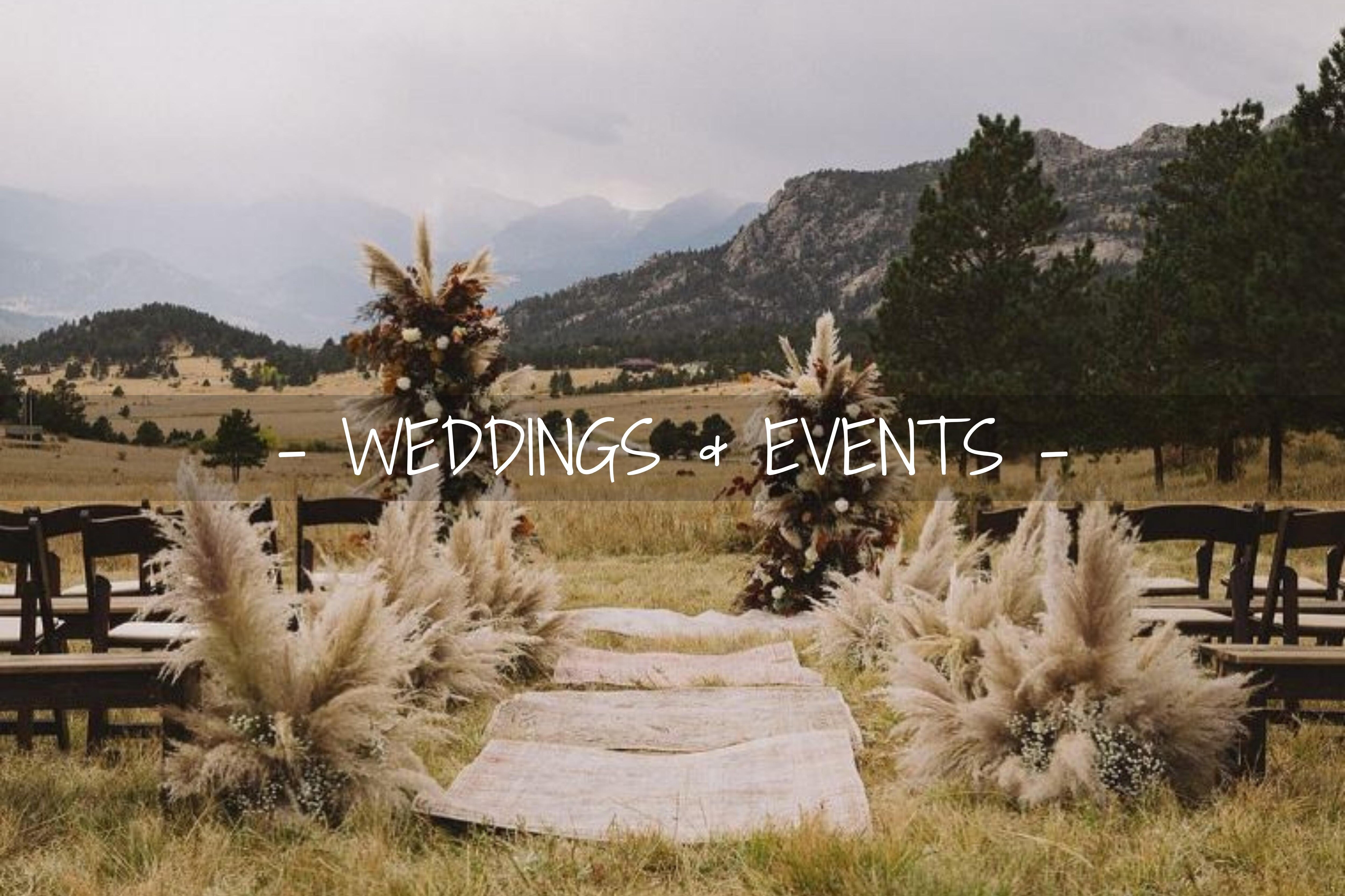 Loveland Florist Flower Delivery by Palmer Flowers Loveland